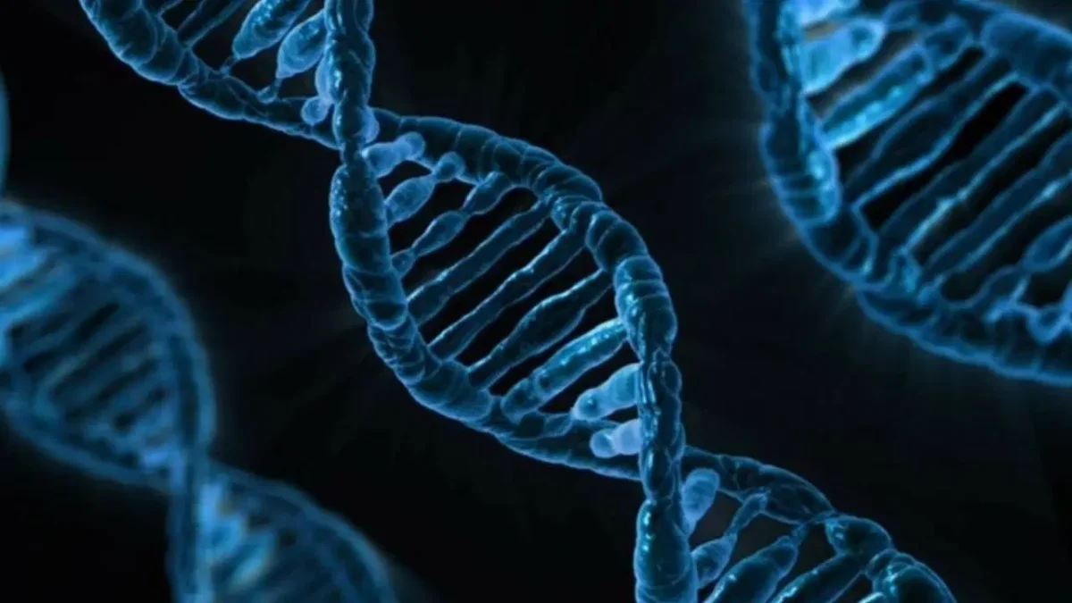Yapay zeka modeli “AlphaGenome” DNA’nın bilinmeyenlerini keşfedebilir