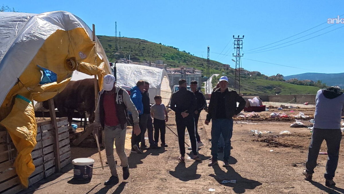 Yozgat’ta ‘kurban pazarı’ isyanı: Yozgat’a hayvan pazarı çok mu fazla görülüyor?