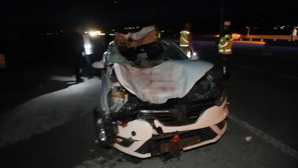 Otomobil ata çarptı: At hayatını kaybetti, 7 kişi yaralandı