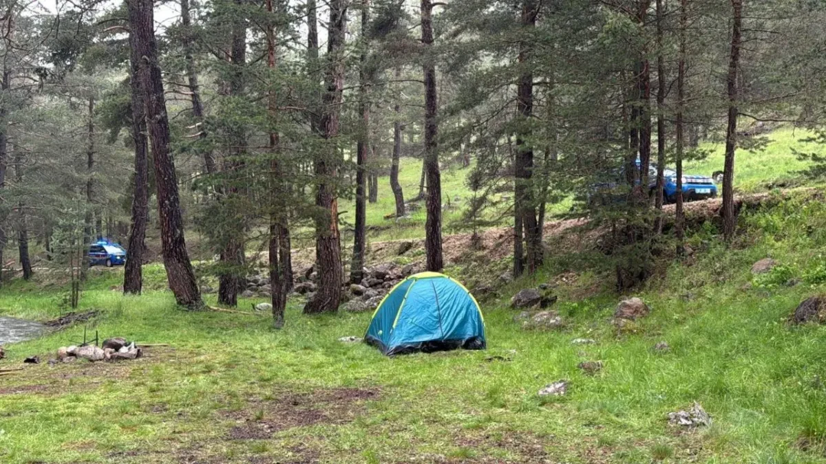 Bolu’da piknikçilerin sığındığı ağaca yıldırım düştü: 1’i ağır 3 yaralı