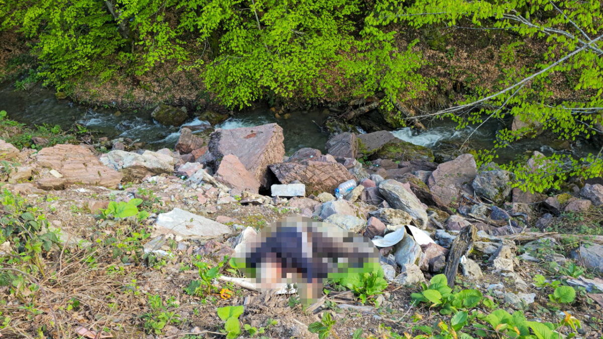 Düzce’de cinayet açığa çıktı: Şüpheli suçunu itiraf etti