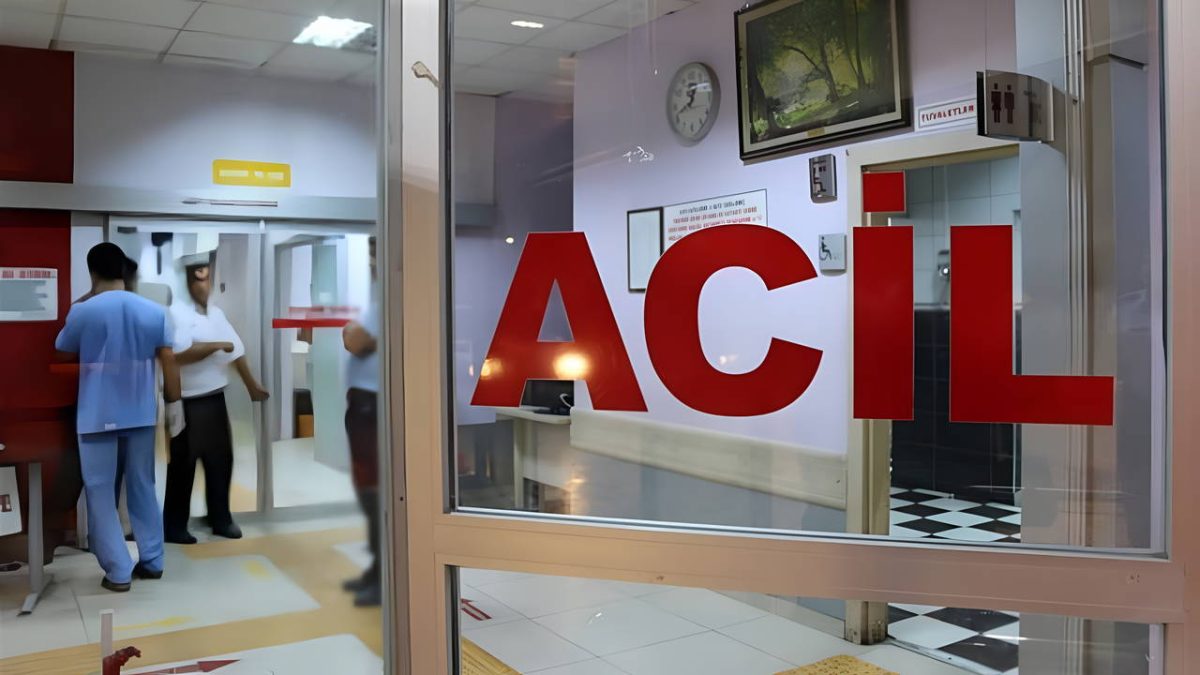 Şanlıurfa Siverek’te akılalmaz olay: Bahçedeki yılanı vurmak isterken 3’ü çocuk 5 kişiyi yaraladı!