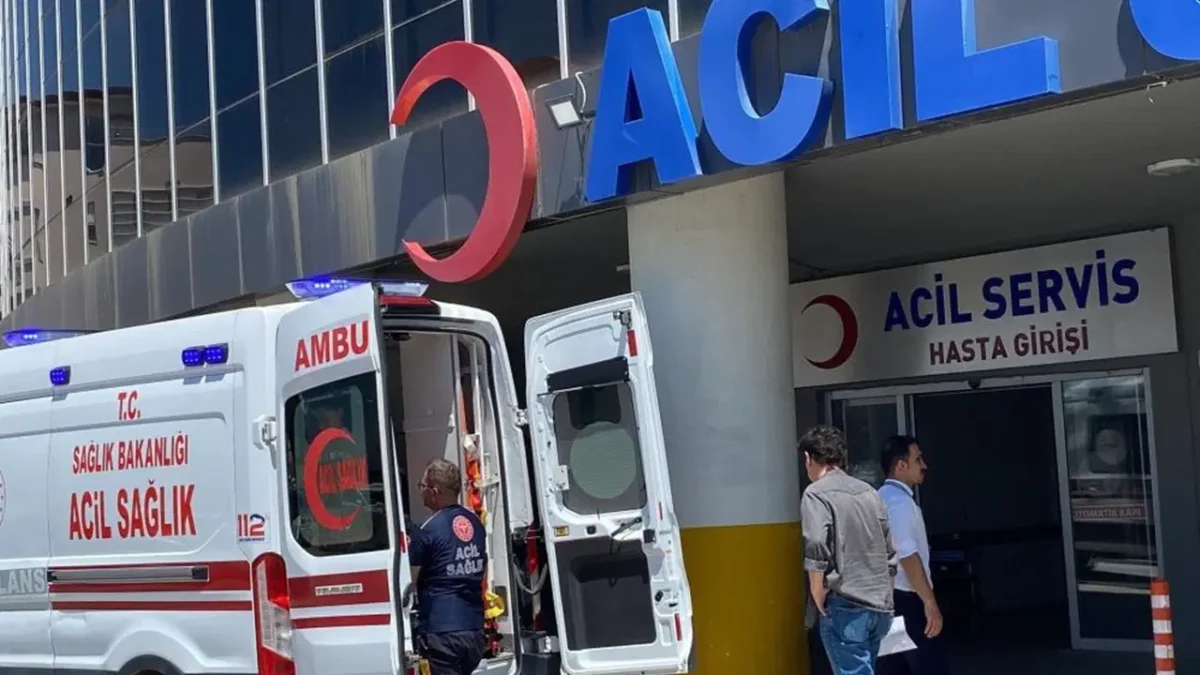 İstanbul’un ‘kurban’ bilançosu: 767 kişi hastanelik oldu