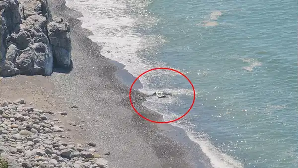 Zonguldak’ta ceset ihbarı ekipleri harekete geçirdi: Gerçek başka çıktı