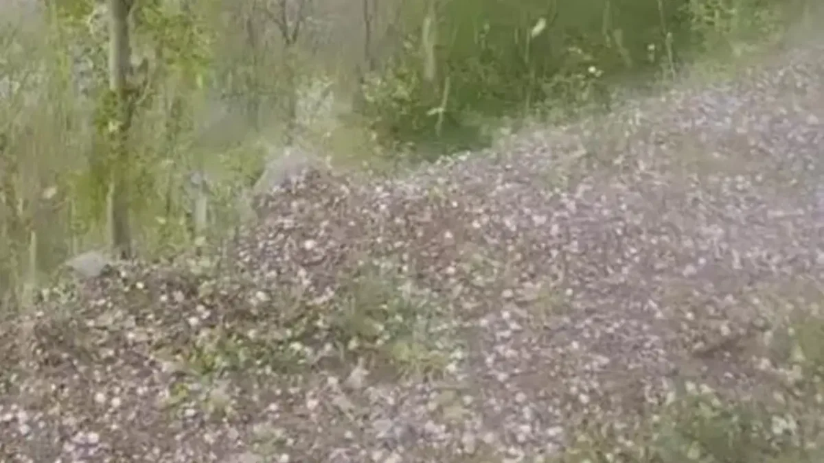 Erzurum’da ceviz büyüklüğünde dolu yağdı