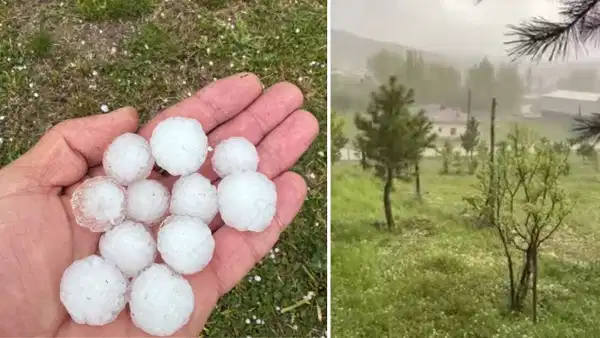 Sivas’ta fındık büyüklüğünde dolu yağdı, ağaçlar çiçek döktü