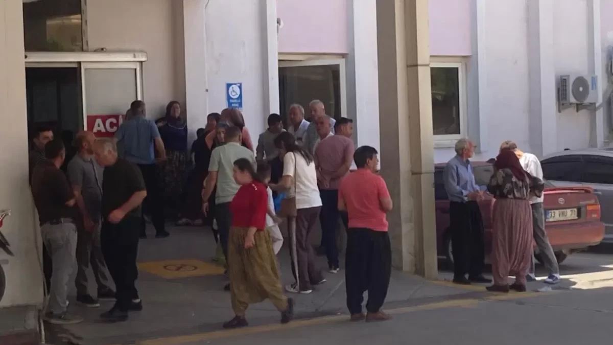 Topladıkları mantarı yiyen 7 kişi zehirlenme şüphesiyle hastaneye kaldırıldı