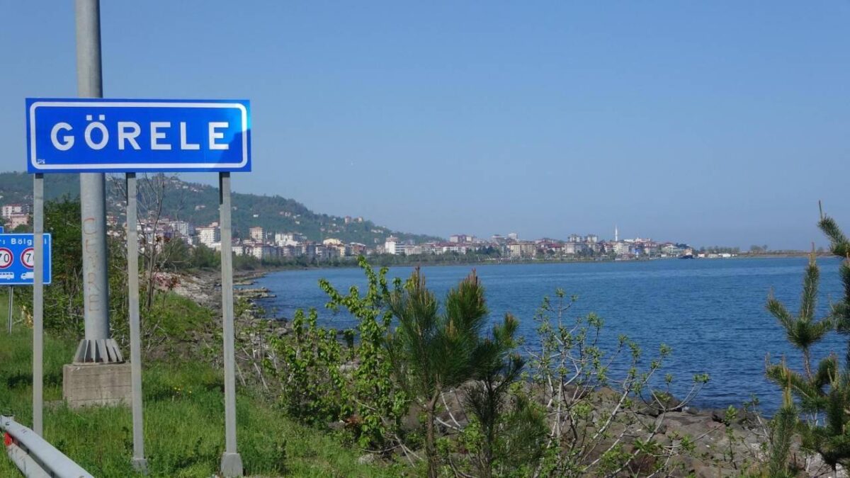 Belediye, çevre mitinginin afişlerini toplattı